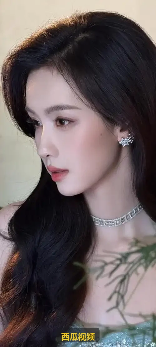 专题19 - 西瓜视频全集无删减